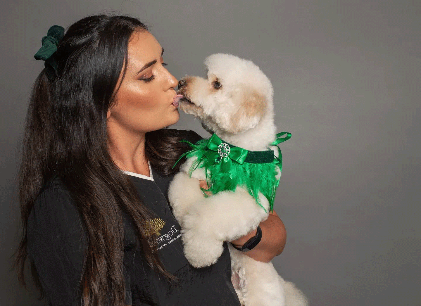 Dog Bath & Brush grooms